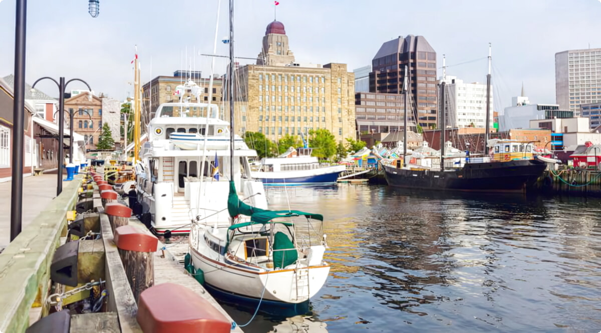 Nuestro inventario incluye una amplia variedad de vehículos.